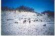 Jäger und Sammler in der "Steengroeve Winterswijk". Antrag gestellt? Jetzt kann es Losgehen!